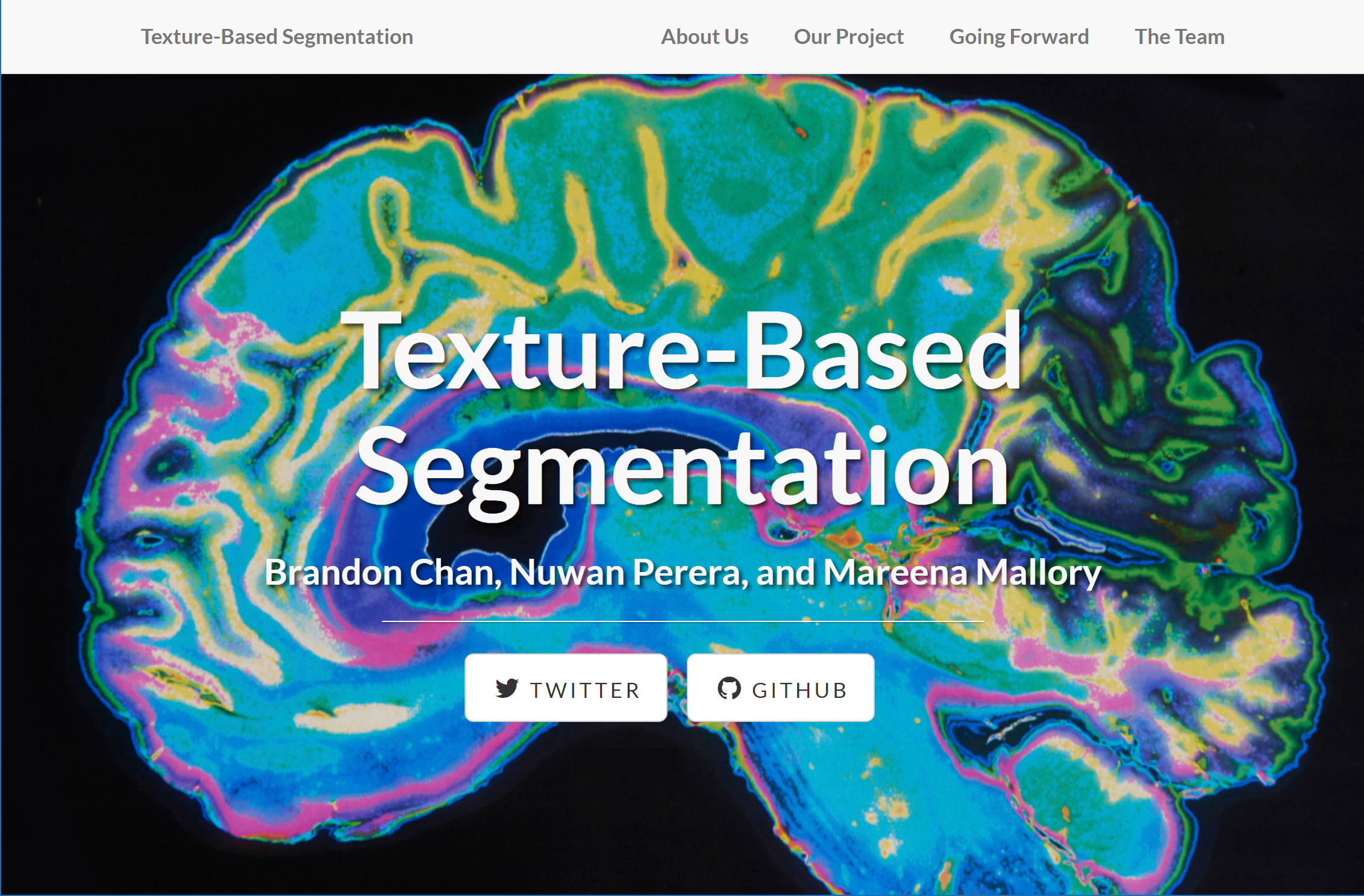 Texture Based Segmentation